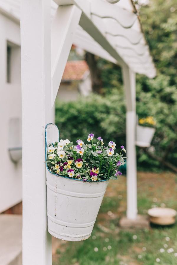 Вилла Csonakos Haz / The Boat House Badacsonyors Экстерьер фото